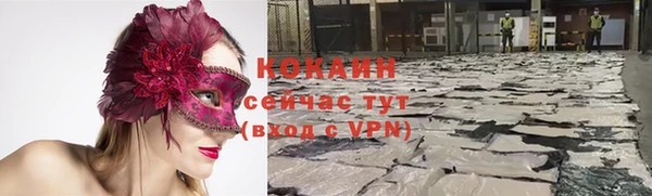 ALPHA PVP Богородицк