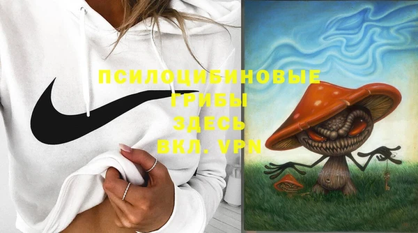 ALPHA PVP Богородицк
