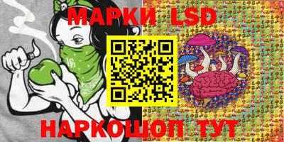 мяу мяу мука Комсомольск-на-Амуре