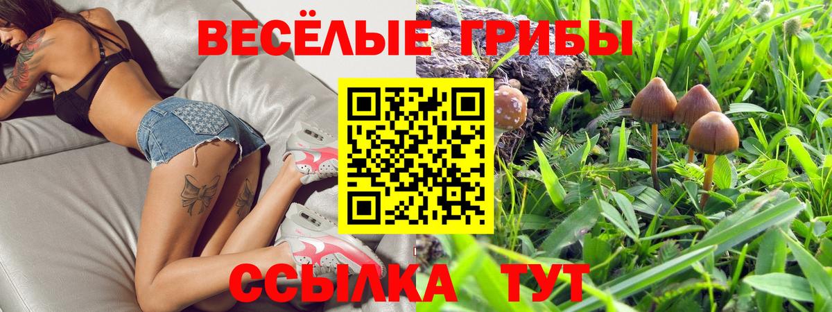 Дальнереченск  Галлюциногенные грибы мухоморы  Вход с VPN 